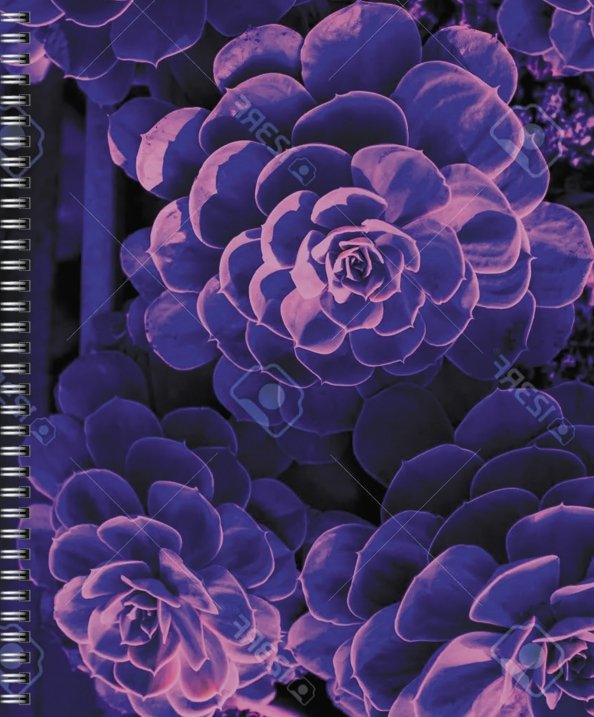 Тетради 40л-120л Тетрадь Violet Mix, 96 листов, клетка, в ассортименте