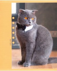 Тетрадь Чудесные коты, 48 листов, клетка, 5 видов