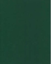 Тетрадь общая Бумвинил. Зеленый, 48 листов, А5, клетка