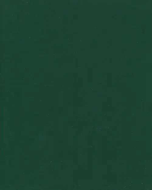 Тетрадь общая Бумвинил. Зеленый, 48 листов, А5, клетка