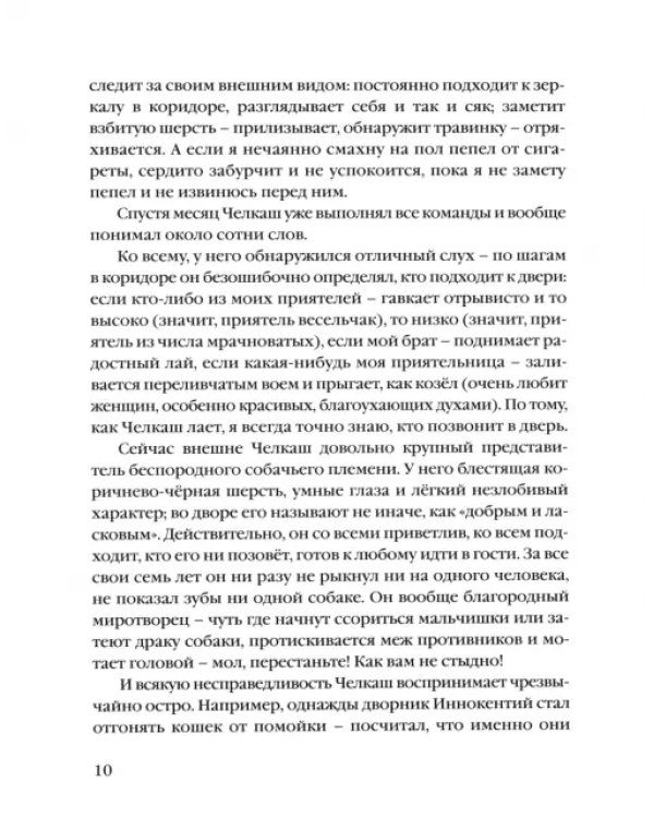 Мои собаки
