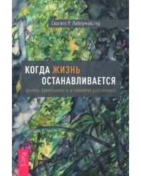 Когда жизнь останавливается. Травма, привязанность и семейная расстановка