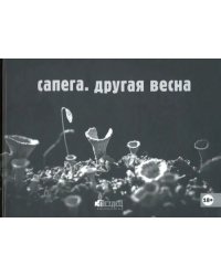 Сапега. Другая весна