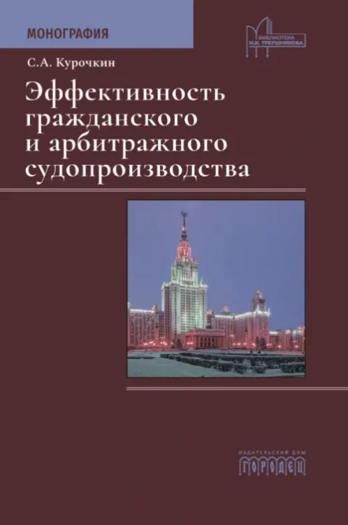 Эффективность гражданского и арбитражного судопроизводства. Монография