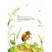 Дополнительное изображение книги «Книга цветов. Мальчик-Одуванчик»