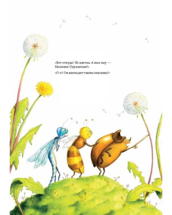 Дополнительное изображение книги «Книга цветов. Мальчик-Одуванчик»