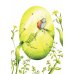 Дополнительное изображение книги «Книга цветов. Мальчик-Одуванчик»