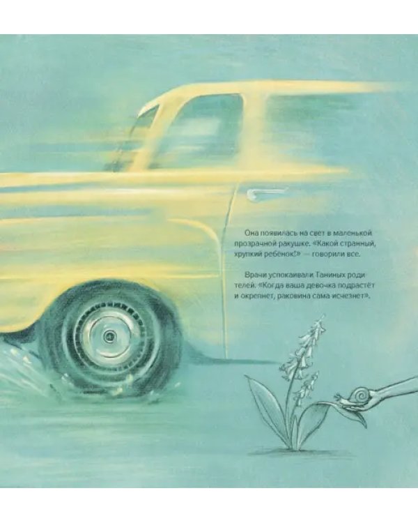 Дополнительное изображение книги «Девочка из ракушки»