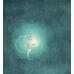 Дополнительное изображение книги «Девочка из ракушки»