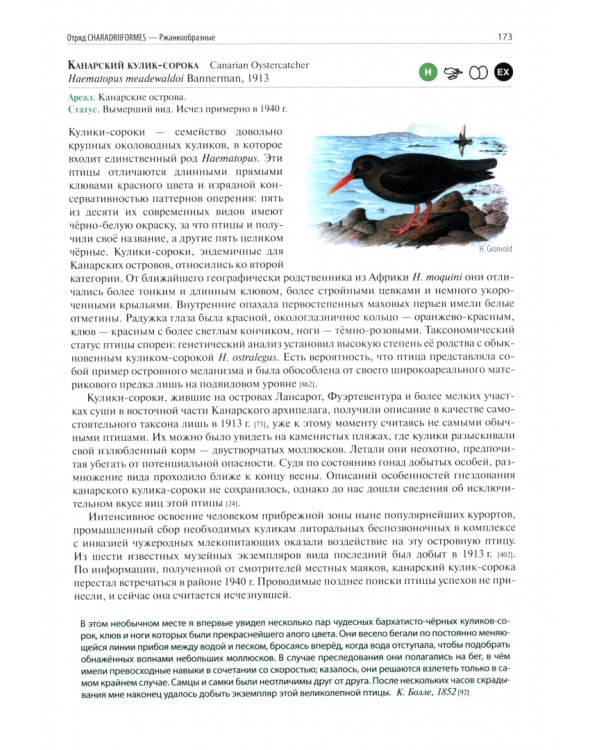 Вымершие птицы мира. Сокращение видового разнообразия в эпоху экспансии человечества