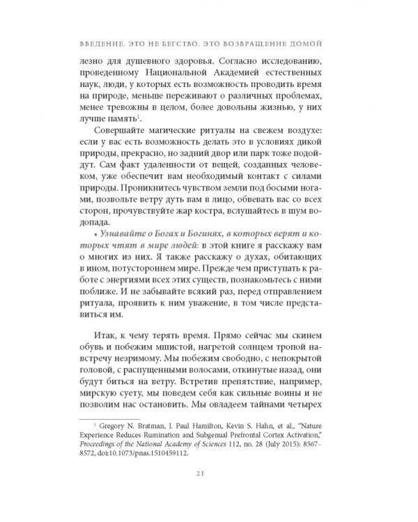 Дикая Волшебная Душа. Раскрепости свой дух и соединись с мудростью природы