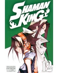 Король шаманов. Том 12