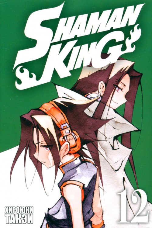 Король шаманов. Том 12