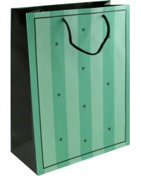 Пакет подарочный, мятный