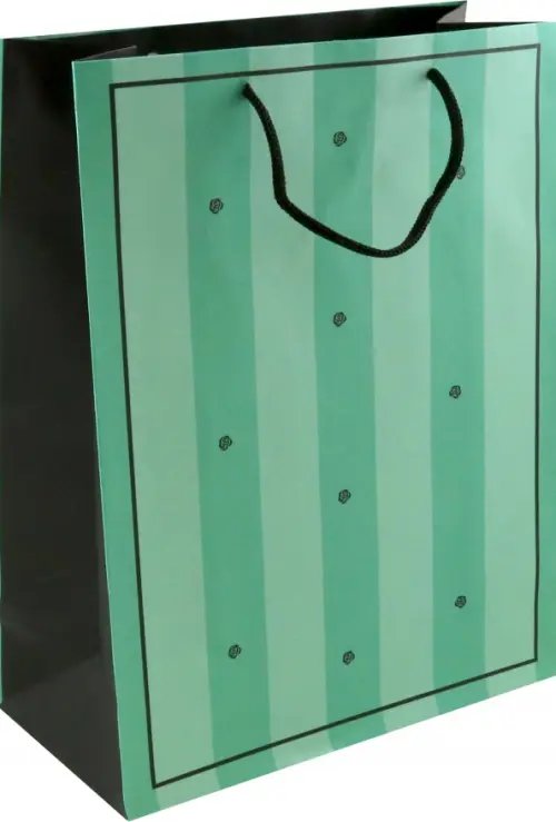 Пакет подарочный, мятный