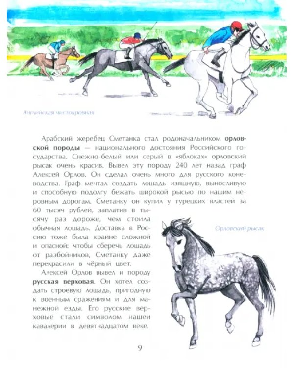 Кони. Дикие, благородные, знаменитые