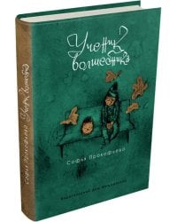 Ученик волшебника