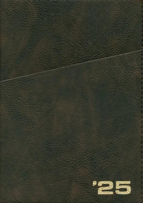 Ежедневник датированный на 2025 год Шеврет. Коричневый, 176 листов, А5+