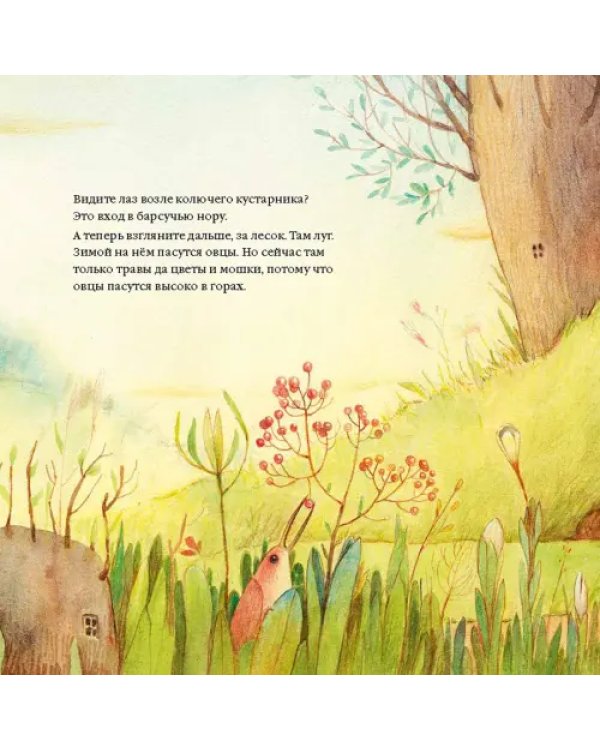 Маргарита смотрела на звёзды