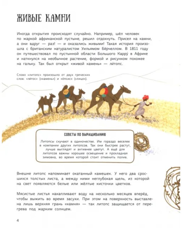Растения-чудаки. 30 самых необычных растений со всего света