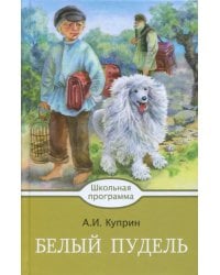 Белый пудель