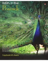 Тетрадь 48 листов, клетка &quot;Фауна. Птицы&quot;, в ассортименте (7-48-317)