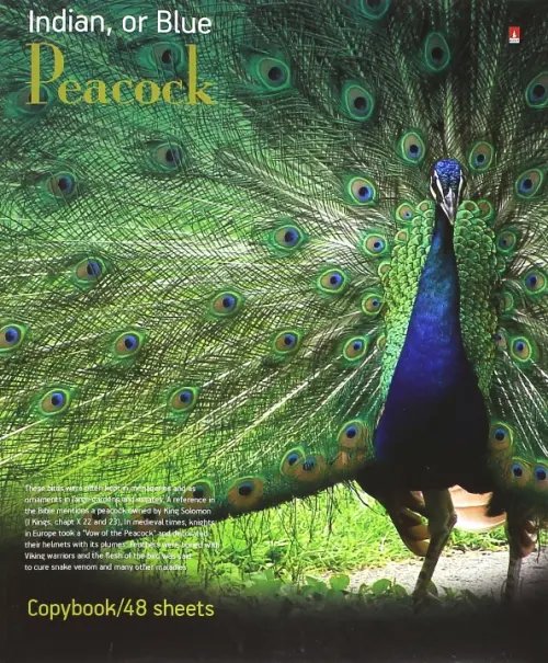 Тетрадь 48 листов, клетка &quot;Фауна. Птицы&quot;, в ассортименте (7-48-317)