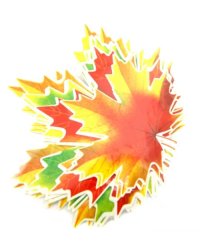 Набор украшений для стен на двухстороннем скотче &quot;Кленовые листья&quot; (КМ-9283)