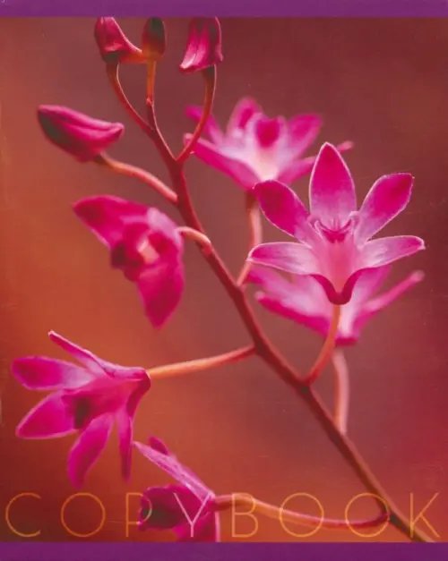 Тетрадь общая &quot;Цветочное вдохновение&quot; (48 листов, А5, клетка, в ассортименте) (ТКЛ485701)