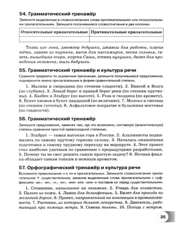 Русский язык. Базовый уровень. Практикум. Учебное пособие для СПО