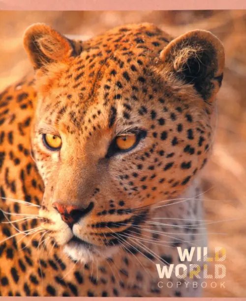 Тетрадь 48 листов, клетка &quot;Дикий нрав. Животные&quot;, 5 видов (ТК485312)