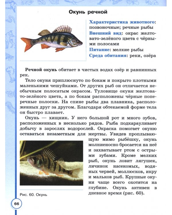 Дополнительное изображение книги «Биология. 8 класс. Учебное пособие. Адаптированные программы»