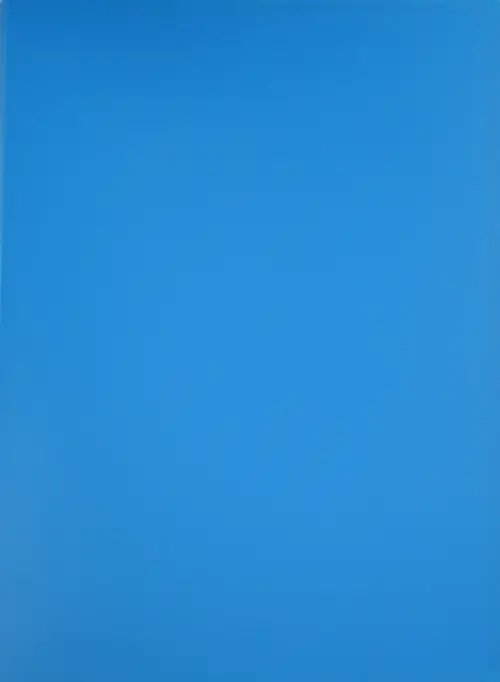 Папка с файлами (20 файлов, синяя) (CY1422-В)