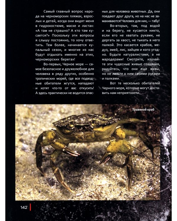 Черное море. Жизнь и судьба
