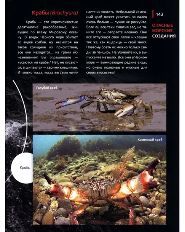 Черное море. Жизнь и судьба