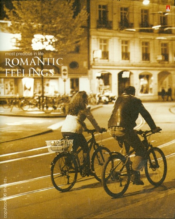 Тетрадь 96 листов, клетка &quot;ГОРОДСКАЯ РОМАНТИКА&quot; (7-96-866)