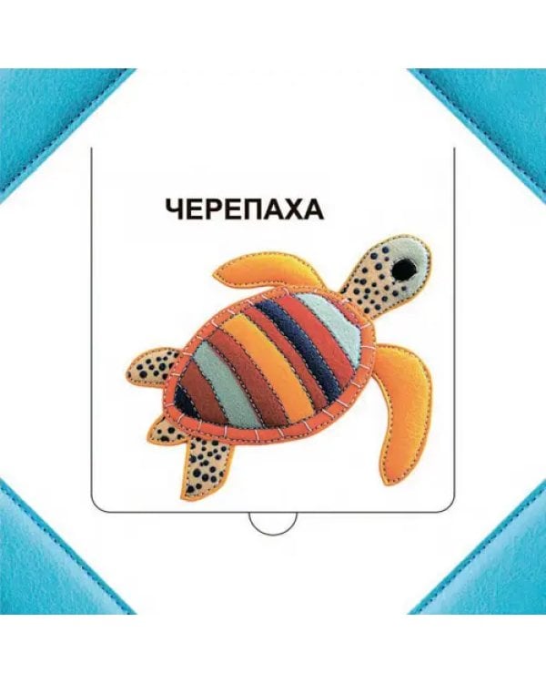 Кто прячется в море?