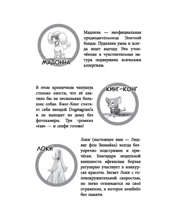 Банда бродяг. Лапа лапу моет