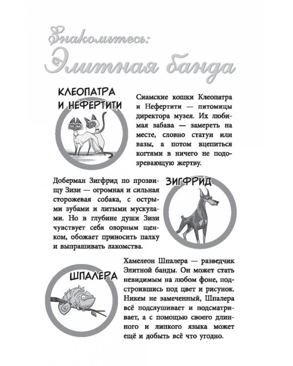 Банда бродяг. Лапа лапу моет