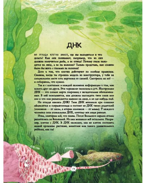 Калейдоскоп науки