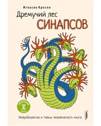 Дремучий лес синапсов. Нейробиология и тайны человеческого мозга