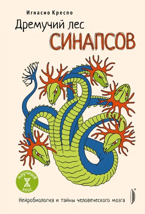 Дремучий лес синапсов. Нейробиология и тайны человеческого мозга