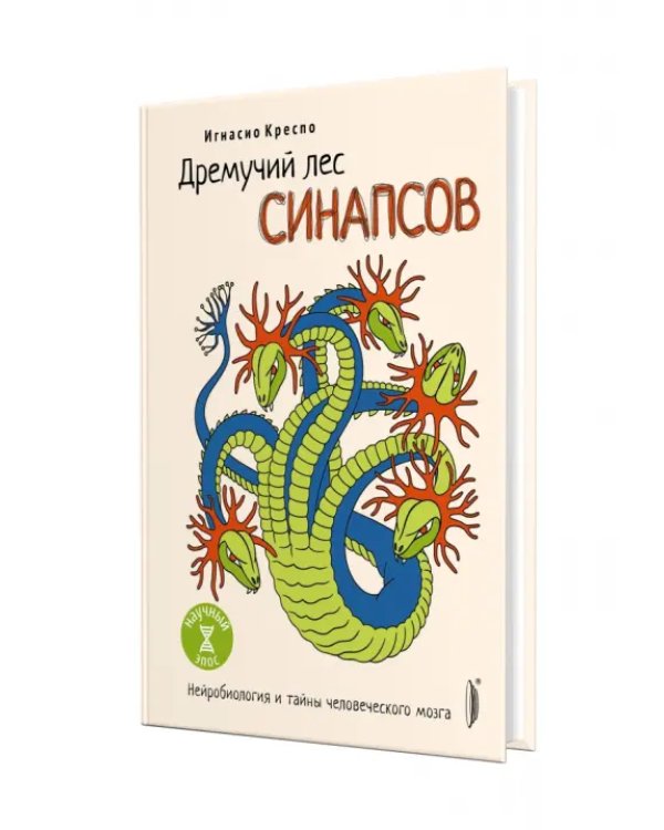Дремучий лес синапсов. Нейробиология и тайны человеческого мозга