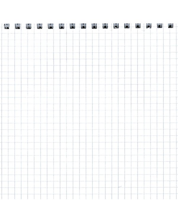 Блокнот "Серебряный цветок" (60 листов, клетка) (99679)