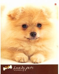 Тетрадь 48 листов, клетка "МИЛЫЕ ЩЕНОЧКИ", 5 видов (7-48-1027)