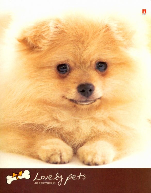 Тетрадь 48 листов, клетка "МИЛЫЕ ЩЕНОЧКИ", 5 видов (7-48-1027)