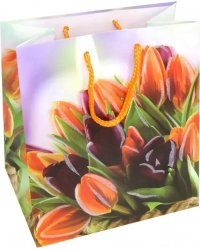 Пакет подарочный ламинированный (18*23) (MPremium-2115)