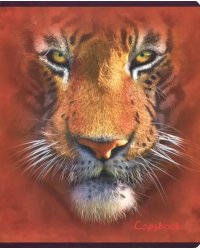 Тетрадь 48 листов, Манималс - 1, клетка (28943)