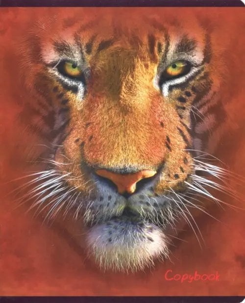 Тетрадь 48 листов, Манималс - 1, клетка (28943)