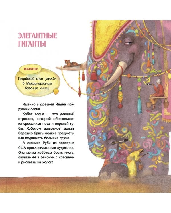 Индия. Страна мудрецов